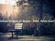 Herkes Yorgun ve Kırgın – Peki, Suçlu Kim?