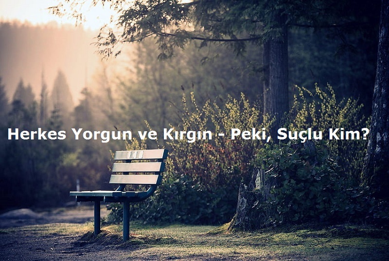 Herkes Yorgun ve Kırgın – Peki, Suçlu Kim?