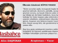 Ülkemin Gündemi: KÖPEK YASASI