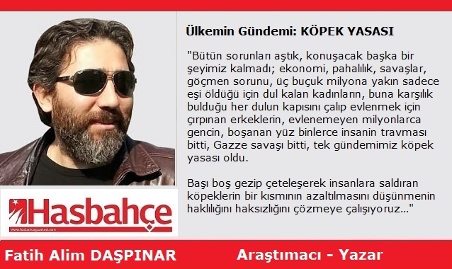 Ülkemin Gündemi: KÖPEK YASASI