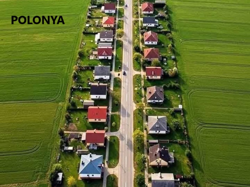 ORDA BİR KÖY VAR UZAKTA