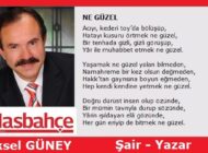 NE GÜZEL