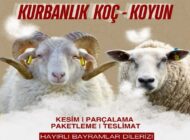 HAFIZ ADAK KURBAN SATIŞ VE KESİM MERKEZİ