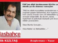 PKK’nın silah bırakmasının Kürtler adına olumlu ya da olumsuz sonuçları