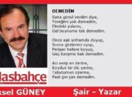DEMEDİM