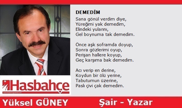DEMEDİM