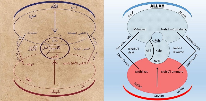 Muhyiddin İbn Arabi’nin Ruh Diyagramı