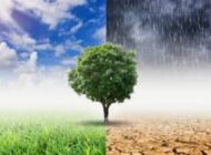 İklim değişikliği havayı nasıl değiştiriyor?