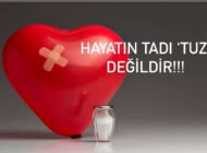 HAYATIN TUZU