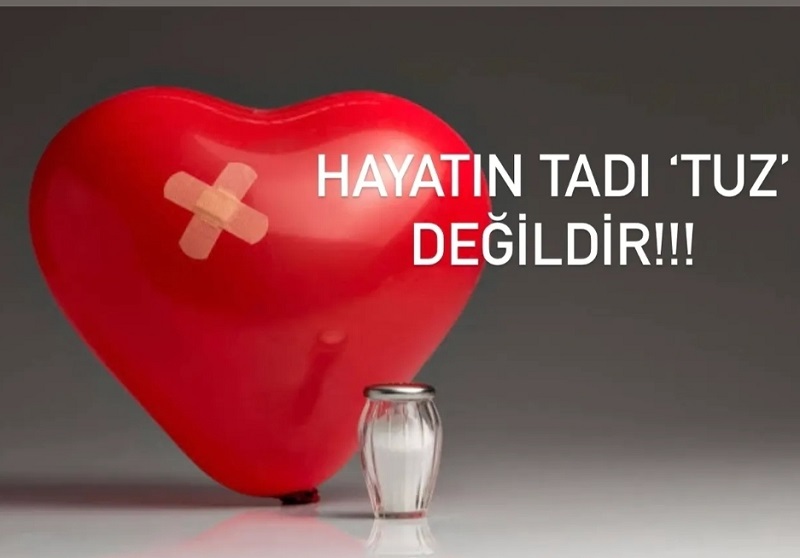 HAYATIN TUZU