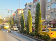 Yol Ortasındaki Ağaçlar Tehlike Saçıyor: Sürücülerden “Daha Kısa Bodur Ağaçlar Dikilsin” Çağrısı