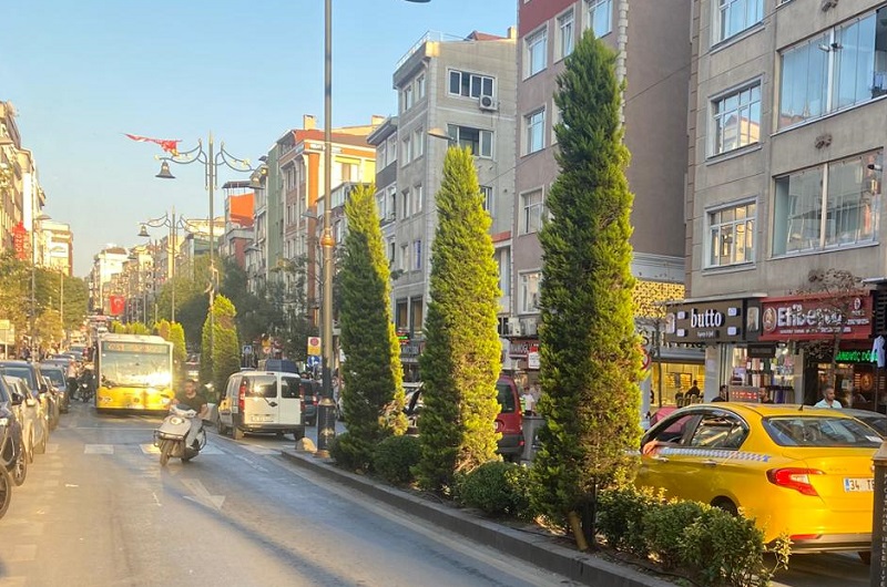 Yol Ortasındaki Ağaçlar Tehlike Saçıyor: Sürücülerden “Daha Kısa Bodur Ağaçlar Dikilsin” Çağrısı