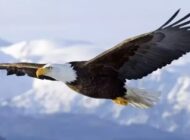 KARTAL’IN YENİDEN DOĞUŞU