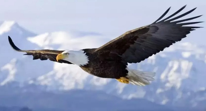 KARTAL’IN YENİDEN DOĞUŞU