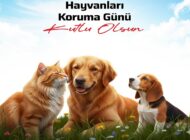 4 Ekim Dünya Hayvanları Koruma Günü: Bir Gün Değil, Her Gün Dostlarımızı Sevelim ve Koruyalım