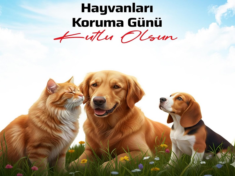 4 Ekim Dünya Hayvanları Koruma Günü: Bir Gün Değil, Her Gün Dostlarımızı Sevelim ve Koruyalım