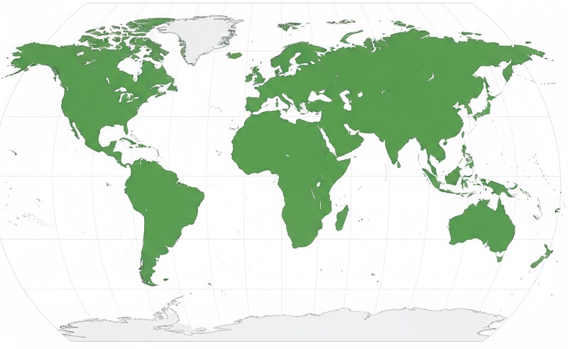 Dünya Haritaları Bize Yalan Söylüyor! Afrika’nın Gerçek Boyutu Gizleniyor