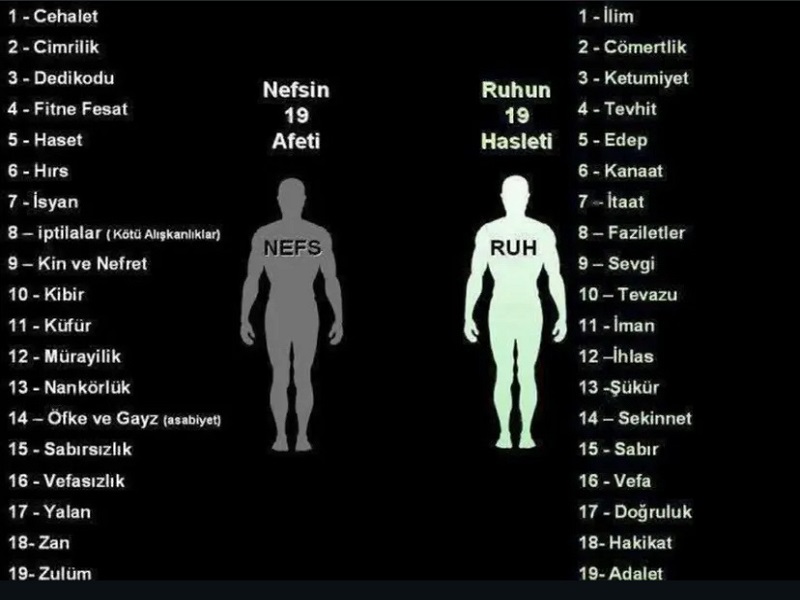 İnsanın İçindeki Büyük Mücadele: Nefsin 19 Afeti ve Ruhun 19 Hasleti