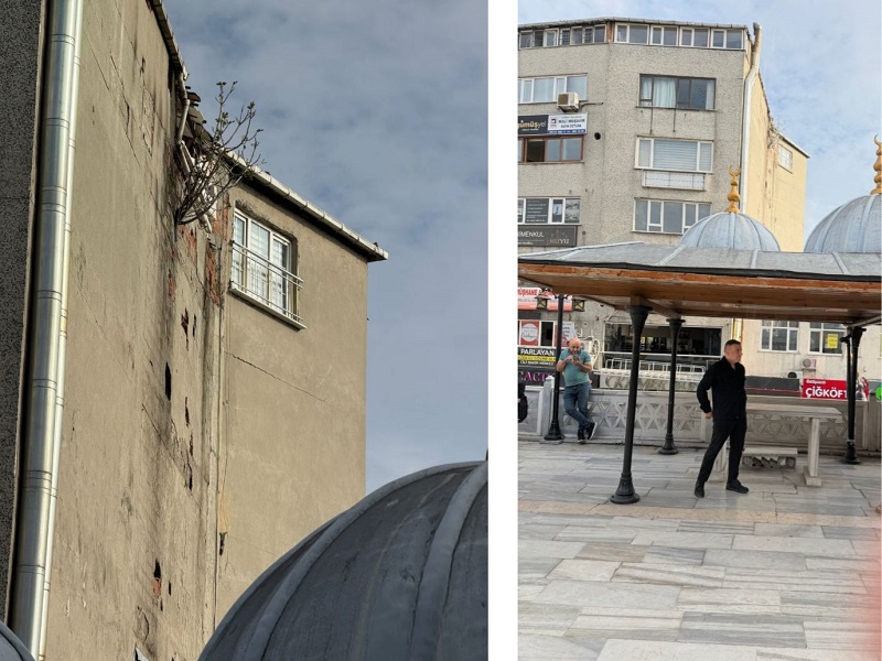 Kağıthane’de “Ocağa Dikilen İncir Ağacı” Şaşkına Çevirdi!