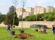 KÂĞITHANE’DE YEŞİL DEVRİM: 6 YILDA 1 MİLYON M² YENİ YEŞİL ALAN