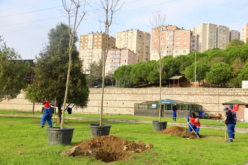 KÂĞITHANE’DE YEŞİL DEVRİM: 6 YILDA 1 MİLYON M² YENİ YEŞİL ALAN