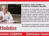 Sonbahar: Solan Renkler ve Tazelenen Umutların Mevsimi