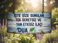 İşte Size Sunulan Tek Ücretsiz ve Yan Etkisiz İlaç!