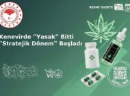 Kenevirde “Yasak” Bitti, “Stratejik Dönem” Başladı