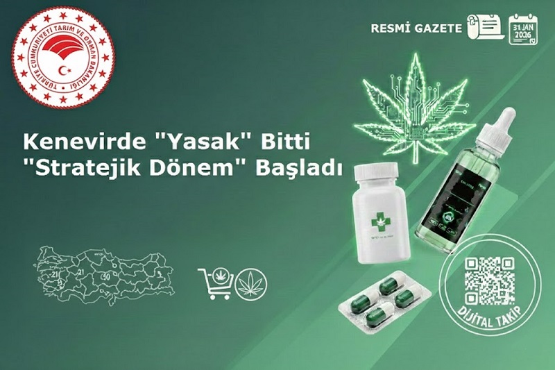 Kenevirde “Yasak” Bitti, “Stratejik Dönem” Başladı