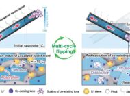 Lityum Madenciliğinde “Tahterevalli” Devrimi: Hem Pil Hammaddesi Hem İçme Suyu Üretecek!