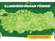 TÜRKİYE’MİZİN NEFESİ ORMANLARIMIZ VE YEŞİL VATANIMIZ