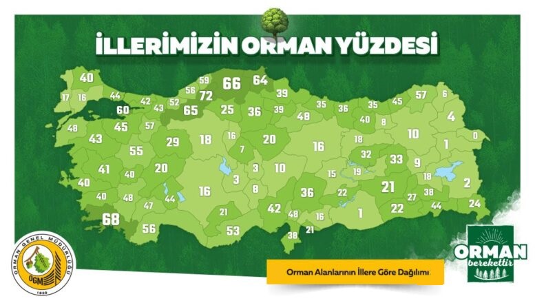TÜRKİYE’MİZİN NEFESİ ORMANLARIMIZ VE YEŞİL VATANIMIZ