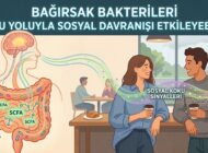 Bağırsaktaki bakteriler koku aracılığıyla sosyal rolleri şekillendiriyor