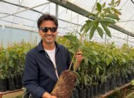 Türkiye’nin Dört Bir Yanına Avokado Fidanı Gönderiyor