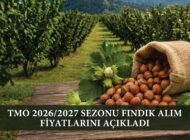 TMO 2026/2027 Sezonu Fındık Alım Fiyatlarını Açıkladı