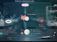 Metformin Yaşlanmayı Durdurabilir mi?